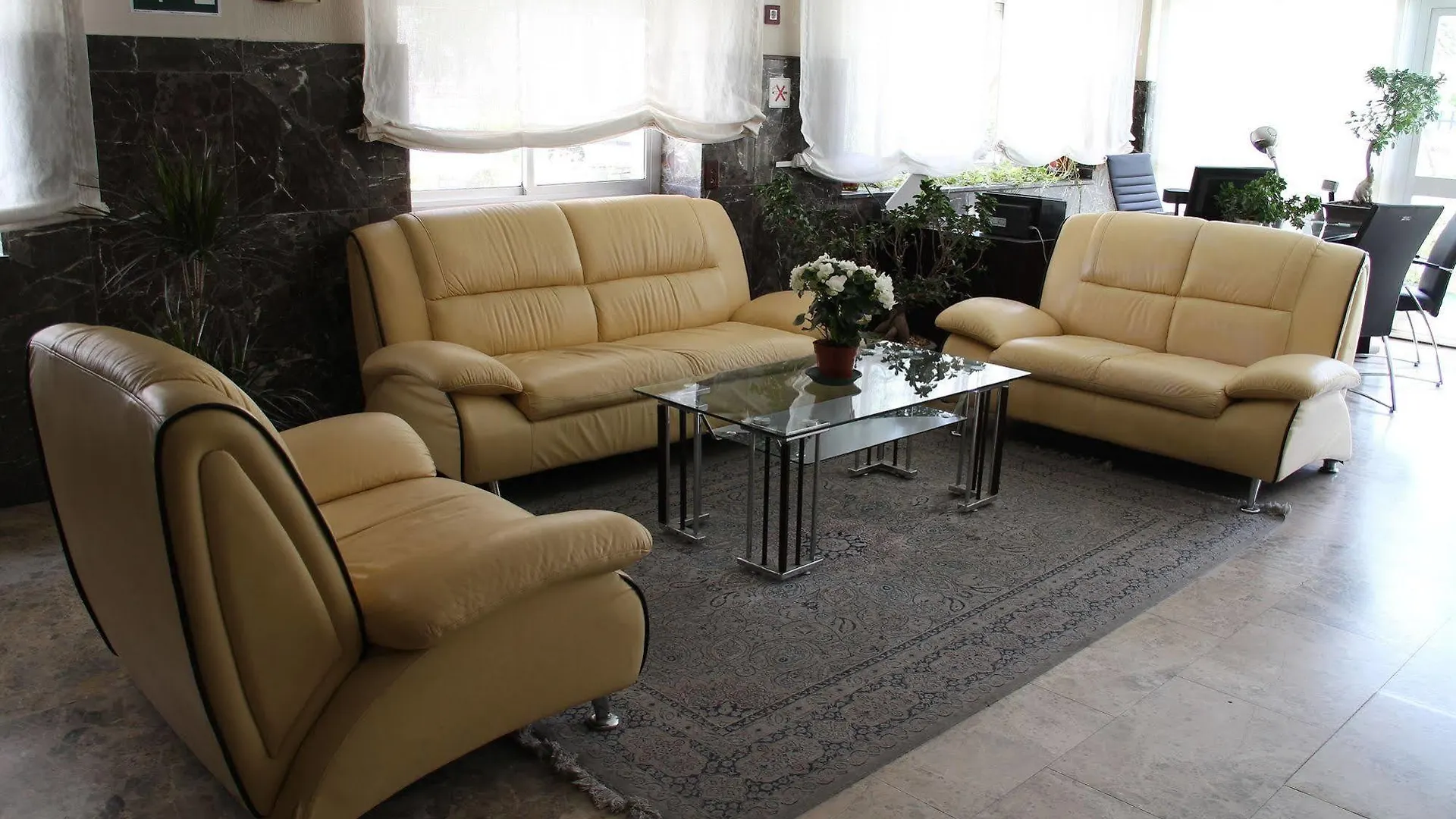 Hotel Mariano Cordoba